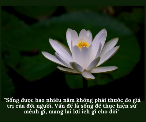 sống-lâu-hay-sống-sâu