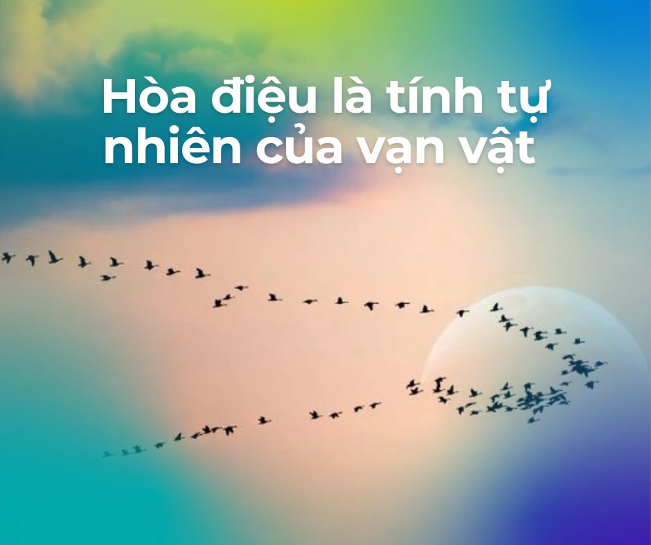 Hòa điệu